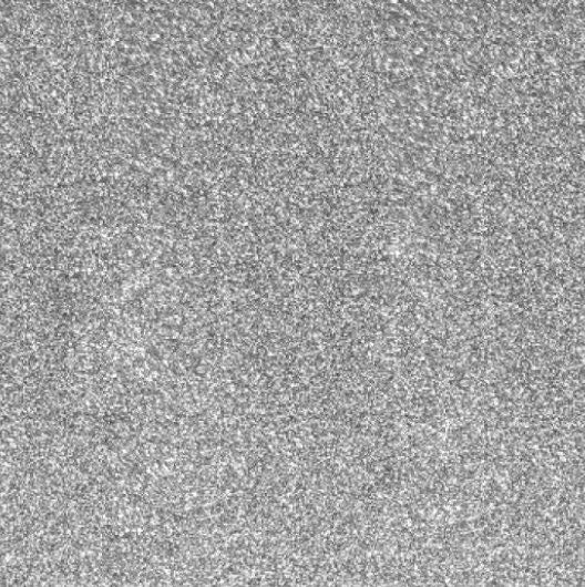 Ensemble short brassière floqué gym personnalisé couleur de flocage au choix